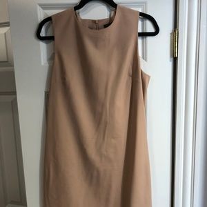Blush Theory Sheath Dress